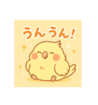 ゆるふわオカメインコ（個別スタンプ：23）