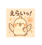 ゆるふわオカメインコ（個別スタンプ：25）