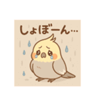 ゆるふわオカメインコ（個別スタンプ：26）