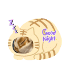 ねこになったんです。うさぎのフッくん（個別スタンプ：2）