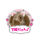 ねこになったんです。うさぎのフッくん（個別スタンプ：6）