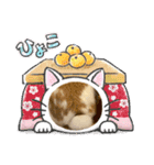 ねこになったんです。うさぎのフッくん（個別スタンプ：10）