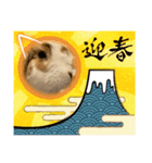 ねこになったんです。うさぎのフッくん（個別スタンプ：16）