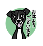 【ブラック】1年中使える♡パピーイタグレ（個別スタンプ：1）