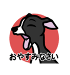 【ブラック】1年中使える♡パピーイタグレ（個別スタンプ：4）