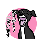【ブラック】1年中使える♡パピーイタグレ（個別スタンプ：5）