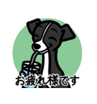 【ブラック】1年中使える♡パピーイタグレ（個別スタンプ：8）