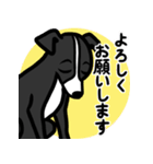 【ブラック】1年中使える♡パピーイタグレ（個別スタンプ：9）