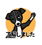 【ブラック】1年中使える♡パピーイタグレ（個別スタンプ：10）
