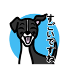 【ブラック】1年中使える♡パピーイタグレ（個別スタンプ：14）