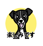 【ブラック】1年中使える♡パピーイタグレ（個別スタンプ：16）