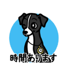 【ブラック】1年中使える♡パピーイタグレ（個別スタンプ：21）
