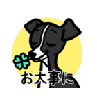 【ブラック】1年中使える♡パピーイタグレ（個別スタンプ：23）
