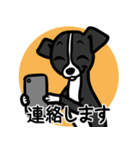 【ブラック】1年中使える♡パピーイタグレ（個別スタンプ：24）