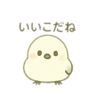 シマエナガちゃん☆3（個別スタンプ：1）