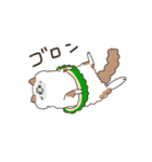 おきなわ楽しかったまろちゃん（個別スタンプ：8）