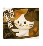 ネコ＊いろいろ（個別スタンプ：15）