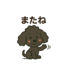 黒プー大河くん（個別スタンプ：1）