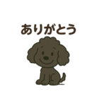 黒プー大河くん（個別スタンプ：2）