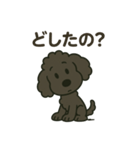 黒プー大河くん（個別スタンプ：4）