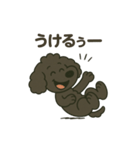 黒プー大河くん（個別スタンプ：7）