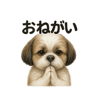 お祈りするマルチーズ（個別スタンプ：1）