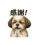 お祈りするマルチーズ（個別スタンプ：2）
