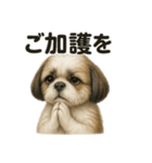 お祈りするマルチーズ（個別スタンプ：4）