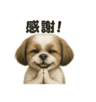 お祈りするマルチーズ（個別スタンプ：6）