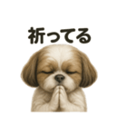 お祈りするマルチーズ（個別スタンプ：7）