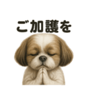 お祈りするマルチーズ（個別スタンプ：8）