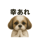 お祈りするマルチーズ（個別スタンプ：9）