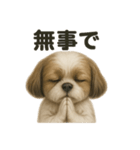 お祈りするマルチーズ（個別スタンプ：12）