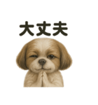 お祈りするマルチーズ（個別スタンプ：13）