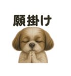 お祈りするマルチーズ（個別スタンプ：15）