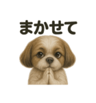 お祈りするマルチーズ（個別スタンプ：16）