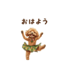 動く♪ハワイ気分トイプードル（個別スタンプ：1）