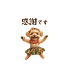 動く♪ハワイ気分トイプードル（個別スタンプ：11）