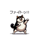 日常で使える太っちょ黒柴 笑える（個別スタンプ：7）
