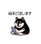 日常で使える太っちょ黒柴 笑える（個別スタンプ：10）
