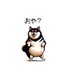 日常で使える太っちょ黒柴 笑える（個別スタンプ：13）