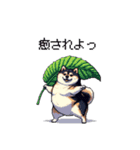 日常で使える太っちょ黒柴 笑える（個別スタンプ：19）