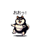 日常で使える太っちょ黒柴 笑える（個別スタンプ：24）