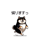 日常で使える太っちょ黒柴 笑える（個別スタンプ：25）