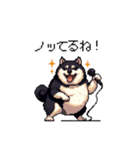 日常で使える太っちょ黒柴 笑える（個別スタンプ：30）