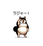 日常で使える太っちょ黒柴 笑える（個別スタンプ：35）