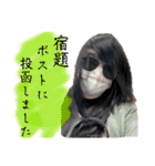 もけこ（個別スタンプ：31）