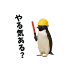 おもしろ動物の笑える一言リアルスタンプ（個別スタンプ：2）