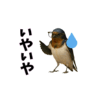 おもしろ動物の笑える一言リアルスタンプ（個別スタンプ：3）