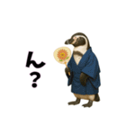 おもしろ動物の笑える一言リアルスタンプ（個別スタンプ：4）